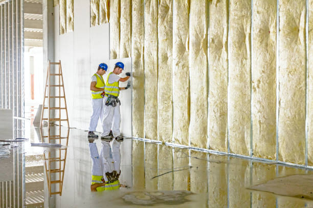 Best Insulation Maintenance and Repair in Fall Creek, WI